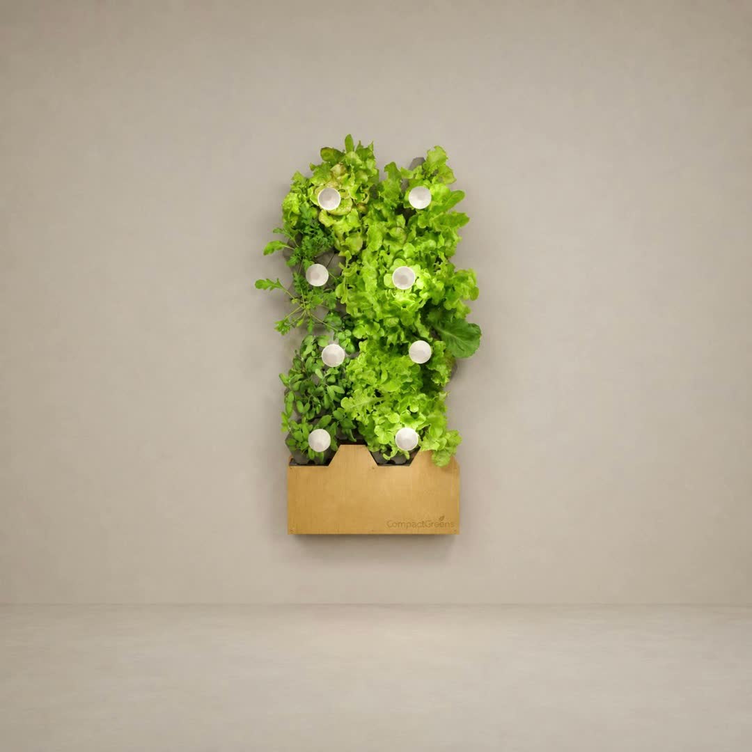 Animierte bepflanzte CompactGreens Wall